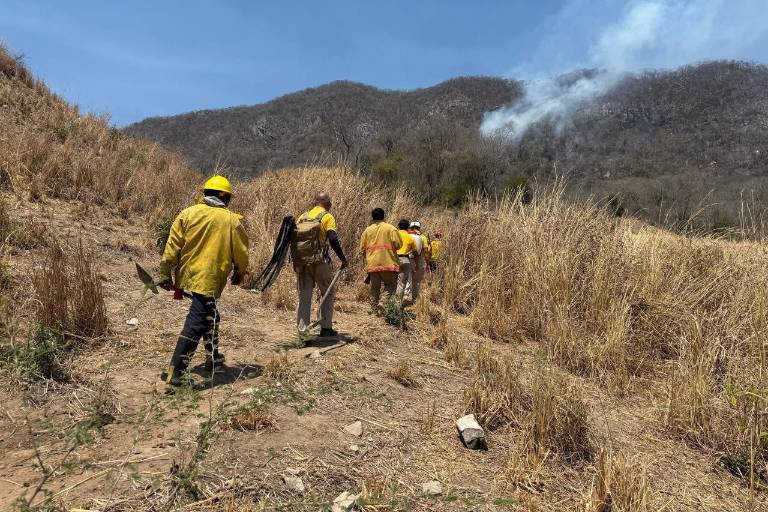 Afecta incendio forestal la sierra de La Noria; trabajan en combatir el fuego