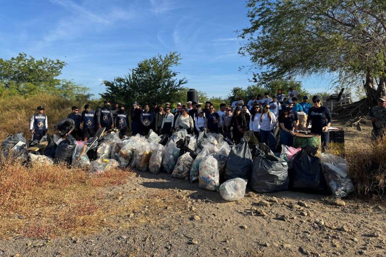 Recolectan más de 400 kilos de basura tras nueva jornada de limpieza en el manglar de la Isla de la Piedra