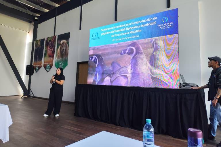 Gran Acuario Mazatlán destaca en Congreso Nacional de la AZCARM con ponencias sobre condicionamiento y bienestar animal