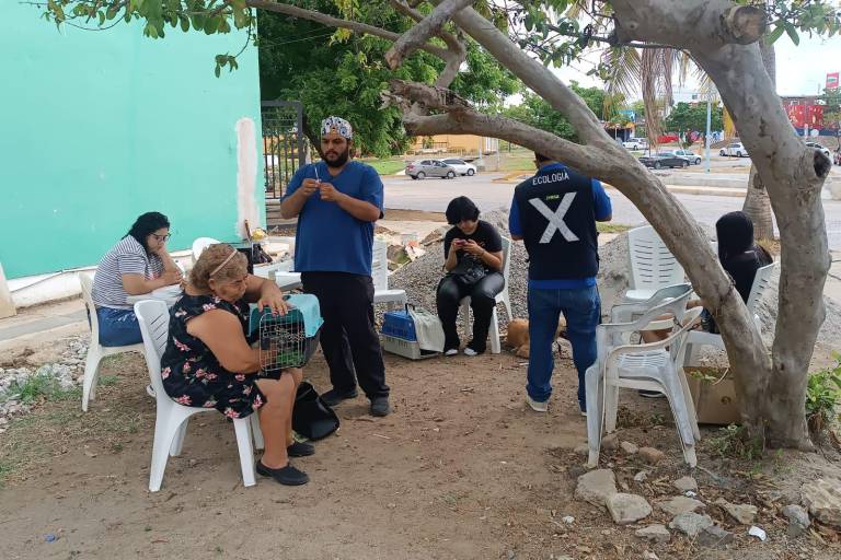 Atiende el camión esterilizador hasta 60 mascotas a la semana