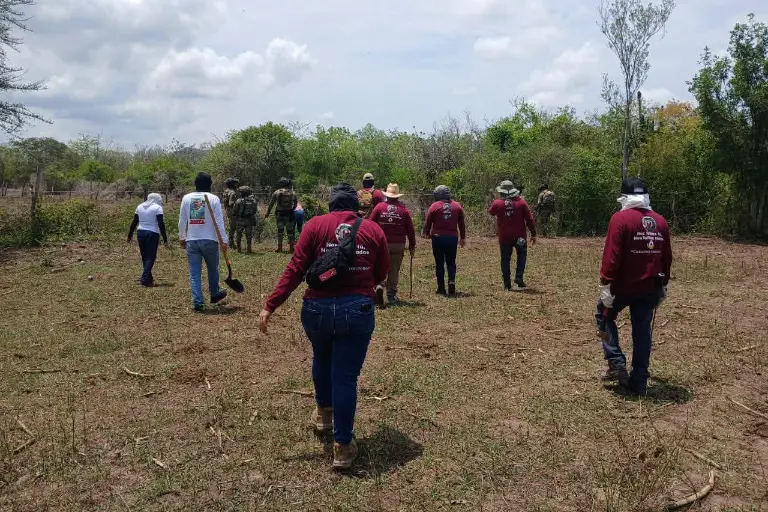 Los colectivos de búsqueda en el sur de Sinaloa denuncian que no hay respaldo de parte de las autoridades estatales.