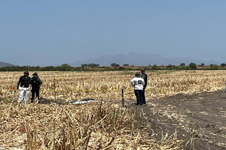 Colectivas de Madres Buscadoras localizan osamenta en una fosa clandestina en El Alhuate, en Culiacán