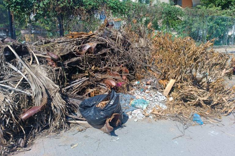 Reportan acumulamiento de basura en calle Ignacio Allende de colonia Juan Carrasco, en Mazatlán