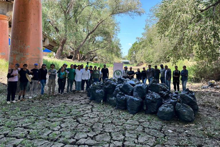 Sacan 5.5 toneladas de lirio acuático del río en Culiacán