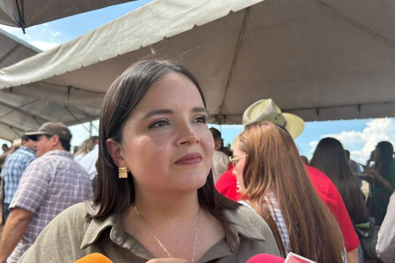 En espera, designación de regidor protector de los animales en Culiacán