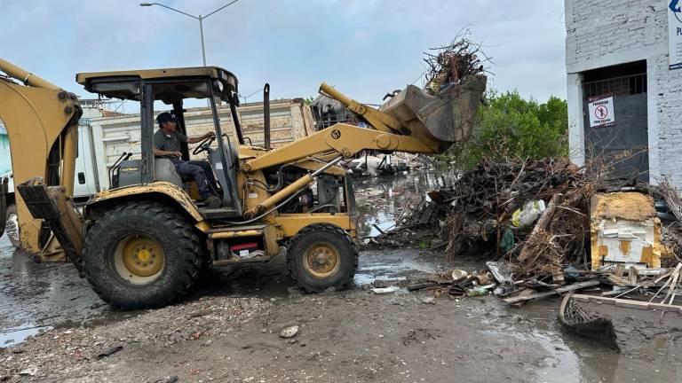 El Gobierno Municipal realizó la edición 23 del proyecto “Cuidemos los Manglares”.