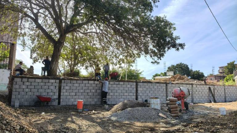 Los trabajadores laboran en la barda desde hace 15 días.