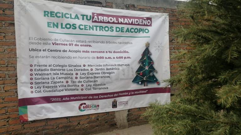 No deseches tu árbol de Navidad, recíclalo en los centros de acopio de Culiacán