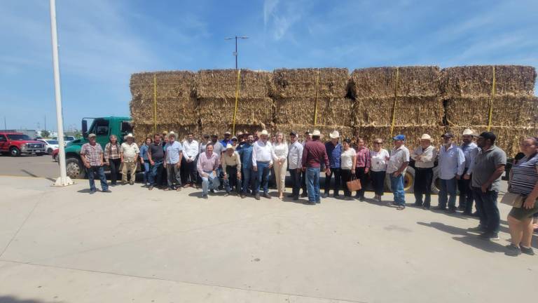 Ganaderos de Culiacán reciben pacas de maíz que entregó la Secretaría de Economía del Gobierno de Sinaloa.