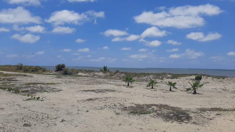 La playa Las Navajas es uno de los lugares cerca de Las Aguamitas que busca detonar el turismo, por la belleza de su entorno.