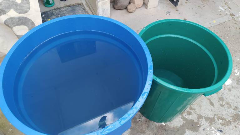 Será hasta el viernes cuando se normalice el servicio, reconoció.