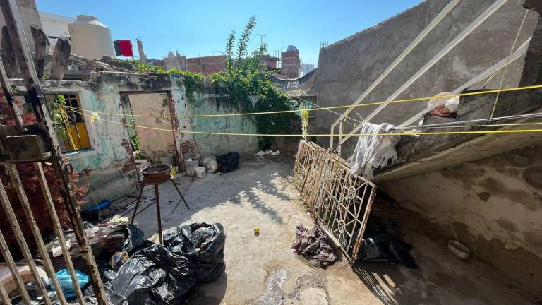 En condiciones deplorables fue rescatada la perrita en una casa de la Colonia Montuosa.