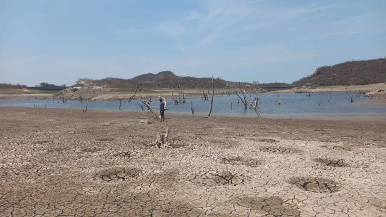 Alrededor de 128 mil personas se han visto afectadas por sequía; Ceapas anuncia apoyo de $5 millones
