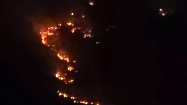 Se registra incendio forestal en cerro del Águila en Rosario