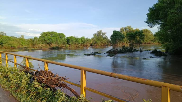 Con las lluvias registradas en Sinaloa, ríos y arroyos han incrementado su cauce.