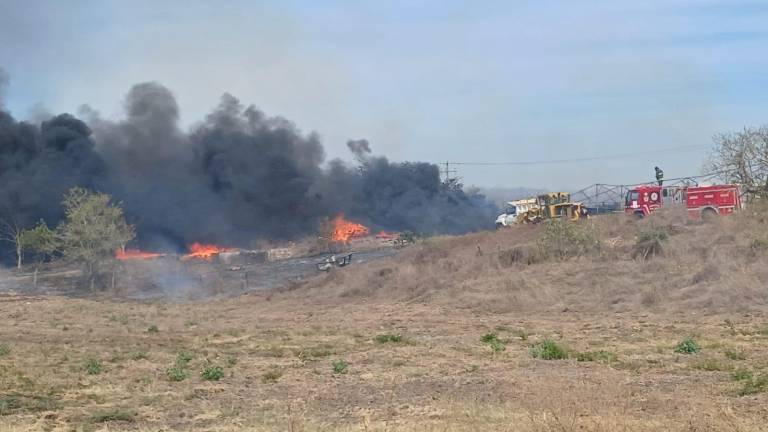 Se incendia secadora de chile y mango ubicada entre Villa Unión y El Roble