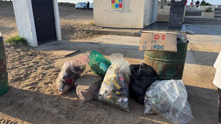 Jornada de limpieza de MazConCiencia en el Estero del Yugo durante Navidad.