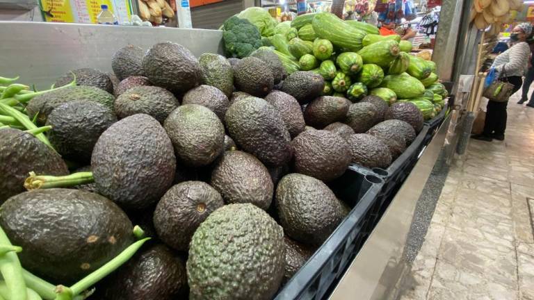 A 140 pesos se vende el kilo de aguacate