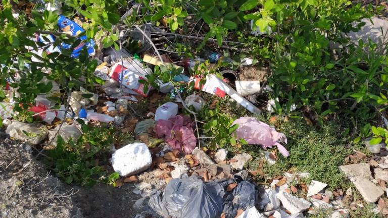 Cemaz calcula que en Mazatlán se quedan 160 toneladas de basura en las calles cada semana