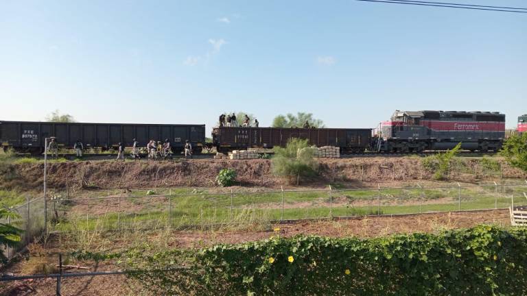 En Culiacán, militares hallaron presunta mariguana en uno de los vagones del tren que viaja al norte del País.