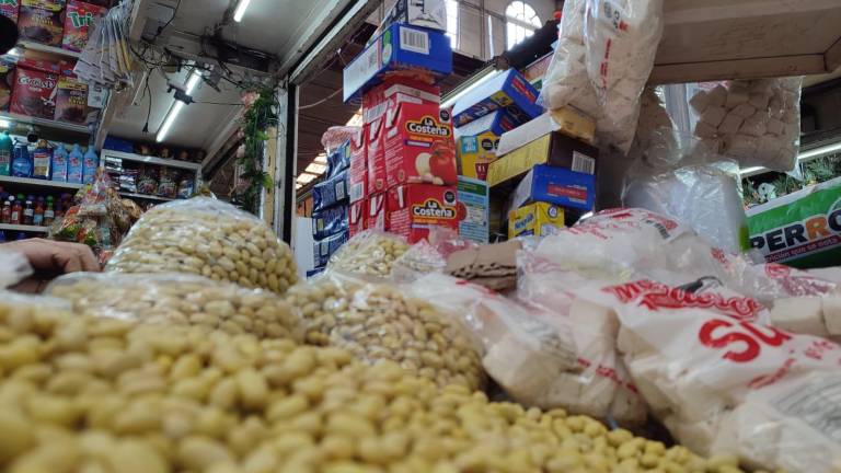 Los precios de la canasta básica se mantienen de acuerdo al 2023.