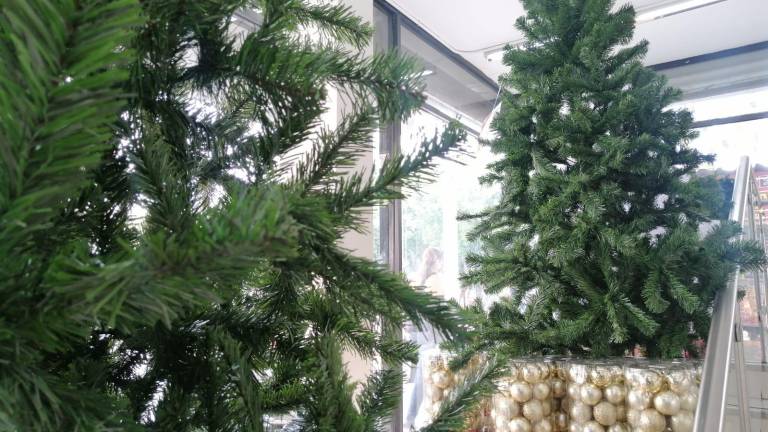 Algunos establecimientos comenzaron a poner en venta sus productos alusivos a la Navidad.
