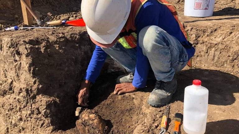 La zona donde se localizaron los restos óseos.