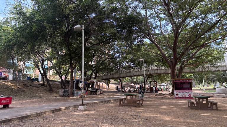 La falta de mantenimiento no se limita a las luces, también los juegos infantiles están obsoletos y que no se ha invertido en nuevos atractivos.