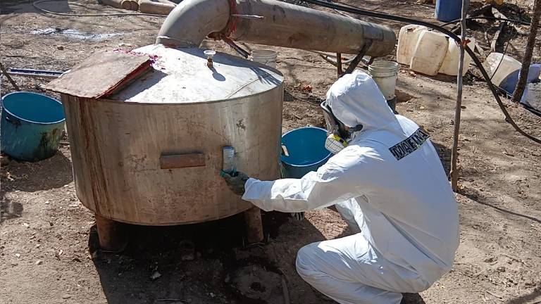 Fuerzas federes inhabilitan centros de producción de metanfetaminas en zonas rurales de Sinaloa, Durango y Michoacán.