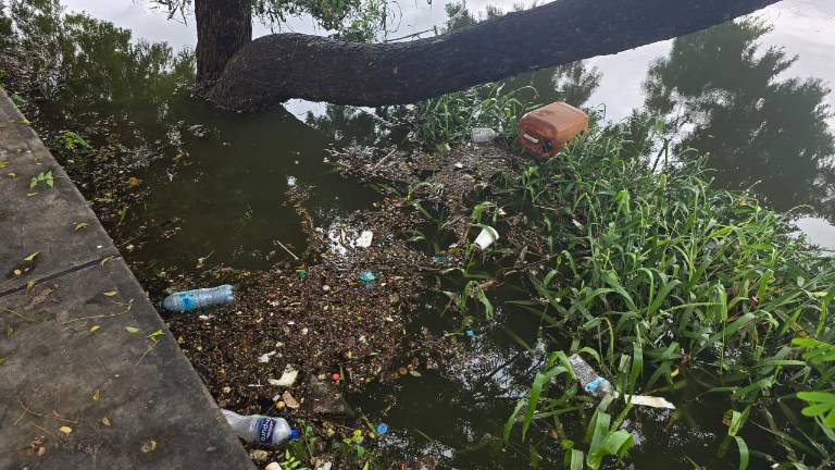 La Laguna del Iguanero presenta desborde y basura tras las lluvias de este sábado.