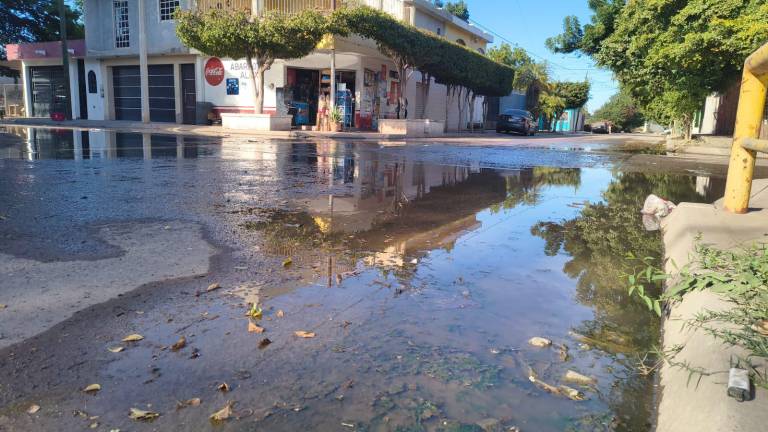 El Gobierno de Ahome arrancará este mes con recursos propios la rehabilitación de sistemas de drenaje sanitario en zonas afectadas.