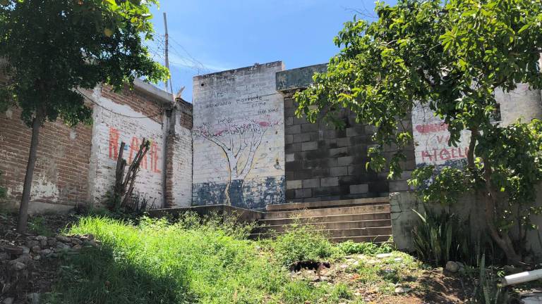 Una caseta de policía abandonada desde hace 20 años es solicitada para dar atención a animales de la calle en Culiacán.