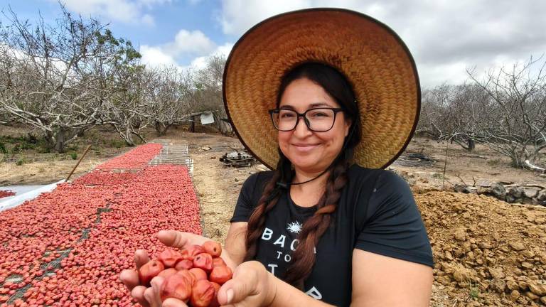 Teresa regresa a sus raíces para mantener viva la tradición de la ciruela en Agua Verde.