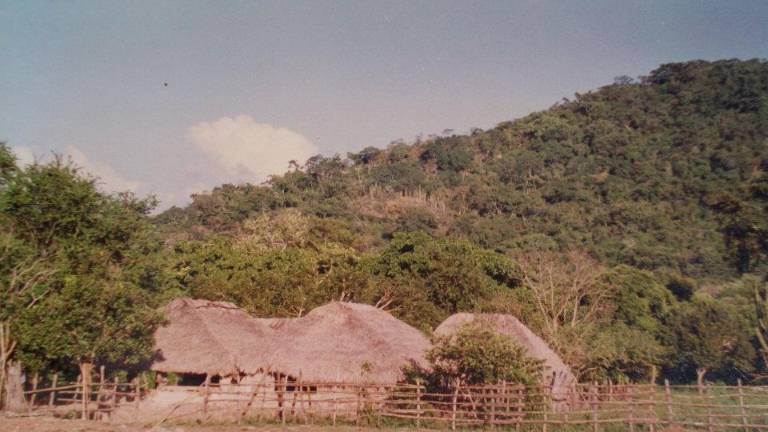 Desde hace más de 50 años, en Escuinapa ya se combatía al gusano barrenador