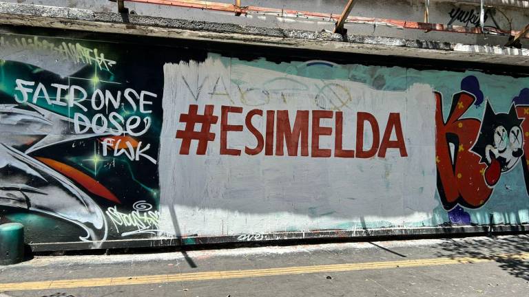 Imelda Castro negó tener relación con las pintas aparecidas en distintos puntos de Culiacán.
