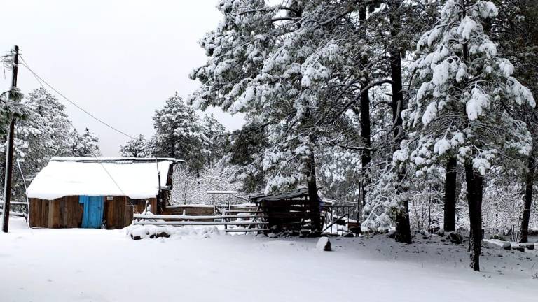 La primera ocasión que cayó nieve en Durango en esta temporada fue durante la primer tormenta, registrada el pasado 23 de noviembre, aunque fue muy poca la que cayó.