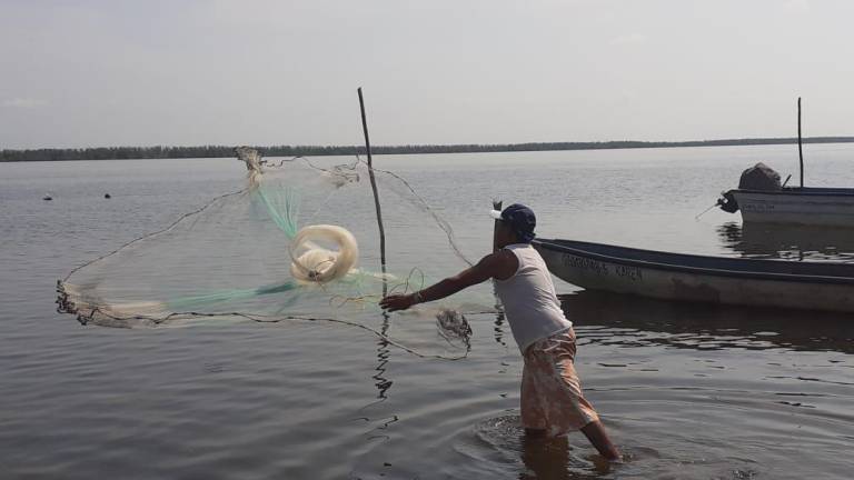 La pesca es una de las principales actividades económicas de Escuinapa.