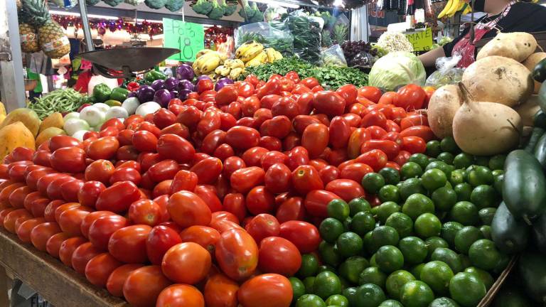 Actualmente, el precio del kilogramo de tomate en Sinaloa se mantiene cercano a los 20 pesos.