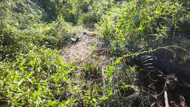 El sitio de la localización fue cerca de unas bodegas de almacenamiento de granos, ubicadas a la orilla de la Carretera Culiacán-Navolato.