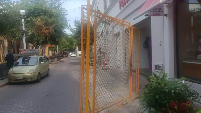 Estos enrejados serán los encargados de regular el acceso al área de Carnaval.