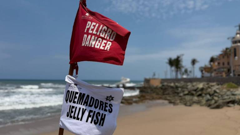 Autoridades llaman a atender la señalización en las playas de Mazatlán.