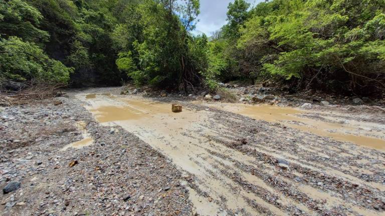 Las presas de jales mineros en la entidad han provocado daños en los último años.