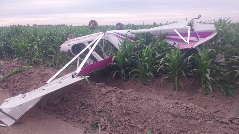Se desploma avioneta en campos de cultivo de Navolato