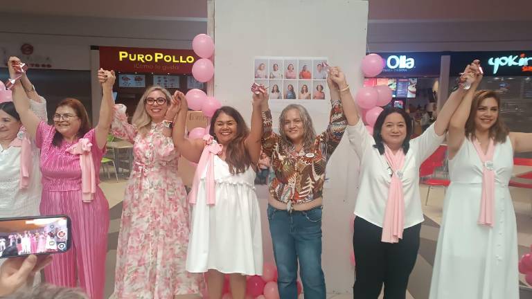 Este proyecto busca apoyar a las pacientes que hoy en día luchan contra el cáncer de mama.