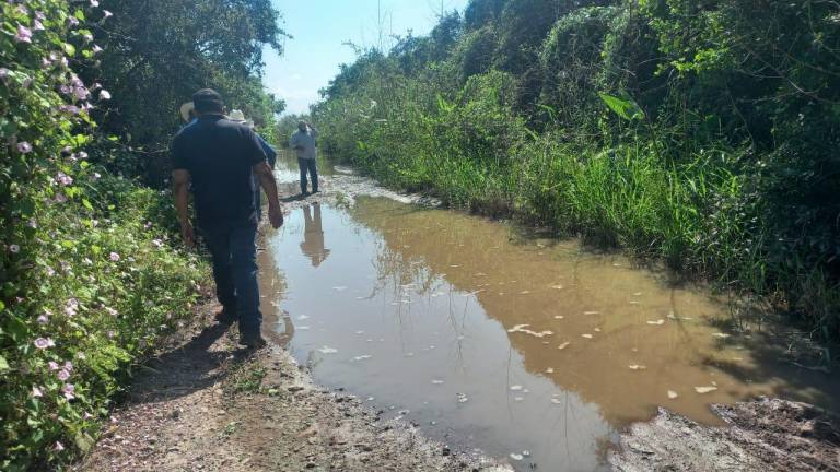 Afecta a productores el daño en caminos vecinales de Escuinapa