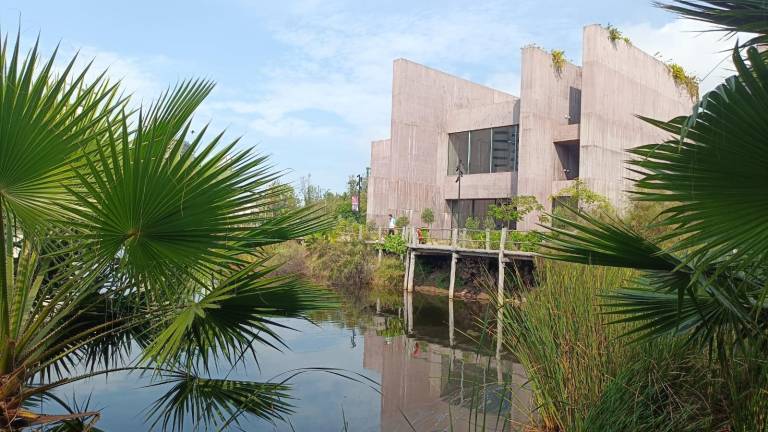 El Gran Acuario es el plan perfecto para tus vacaciones, crear recuerdos inolvidables y vivir una experiencia que solo Mazatlán puede ofrecer.