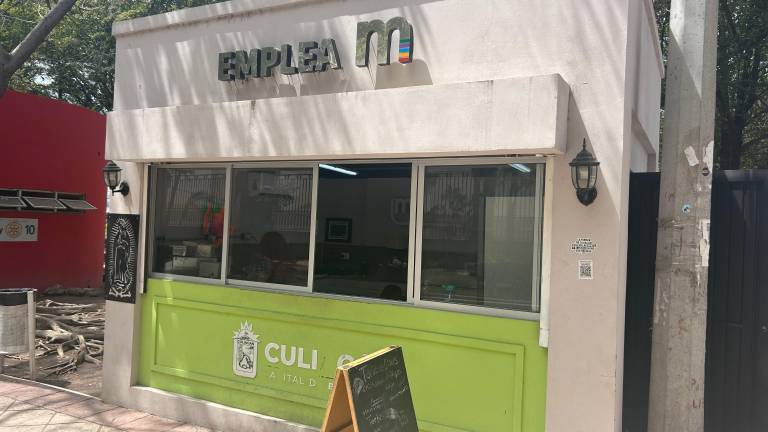 Dentro de la organización Emplea-M con Causa la gran mayoría de los integrantes presentan discapacidad intelectual en distintos grados, informó Alba Elena Cossío.