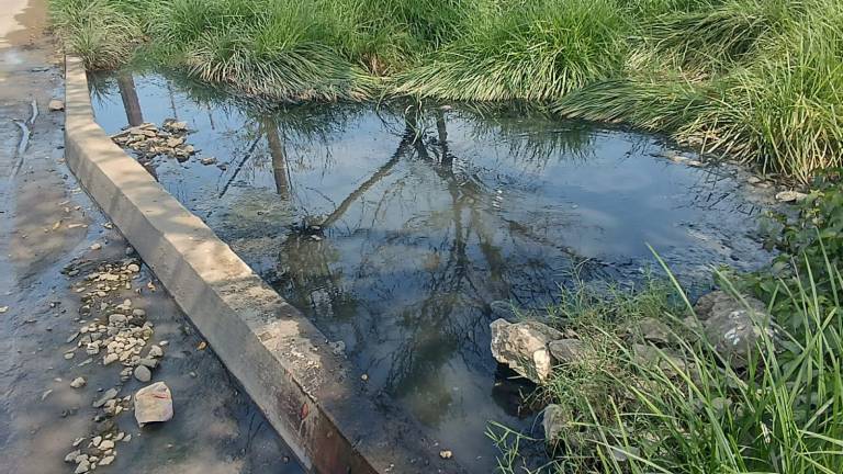 Los derrames de aguas negras continúan en zonas como la avenida Santa Rosa, problema que tiene meses.