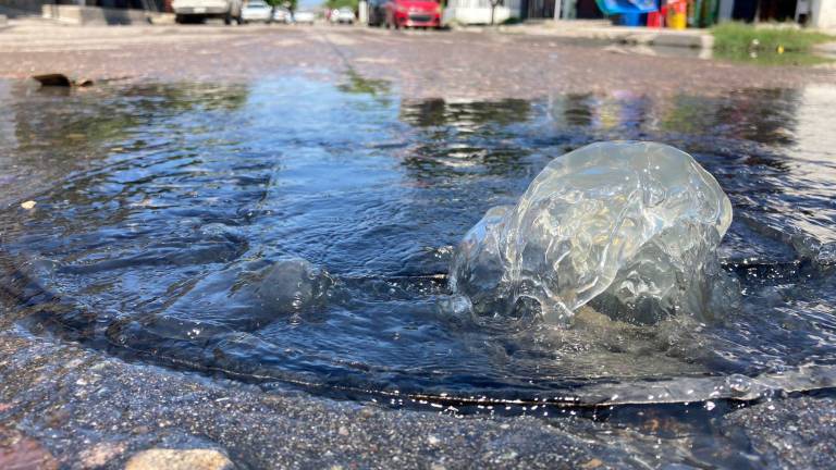 Aguas negras brotan de alcantarillas en la Colonia 20 de Noviembre.