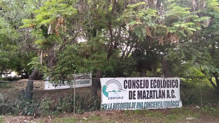 Gobierno de Mazatlán analiza dar marcha atrás a la entrega de terrenos del Bosque de la Ciudad para pagar deuda millonaria